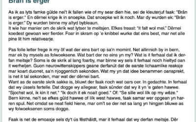 Brand is erger